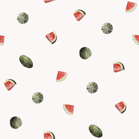 Family Fabrics - Marcha Joan - Watermelon Fruit Calm