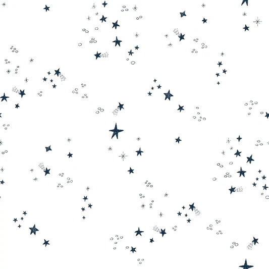 Family Fabrics - Zanet From Wonderland - Stars Navy