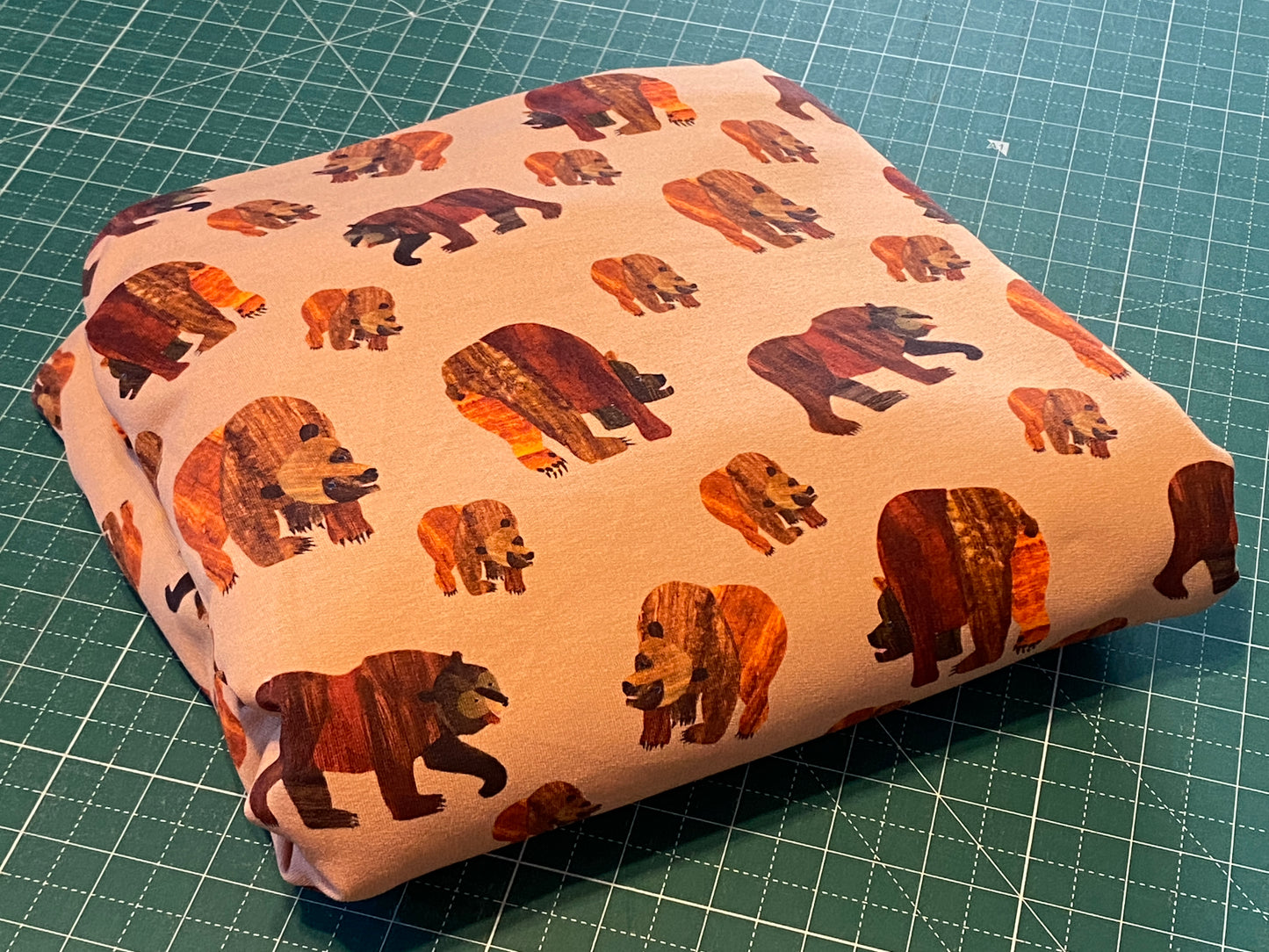 Brown Bear Brown Bear