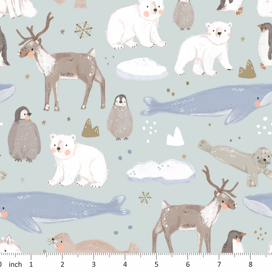 Lumelo and Ginger - Parky - Arctic Animals - Polar Bears - Reindeer - Penguin - Seal - Whale