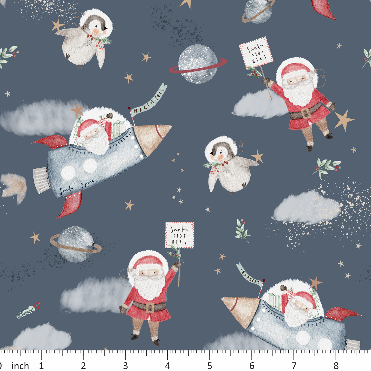 Lumelo and Ginger - Space Santa