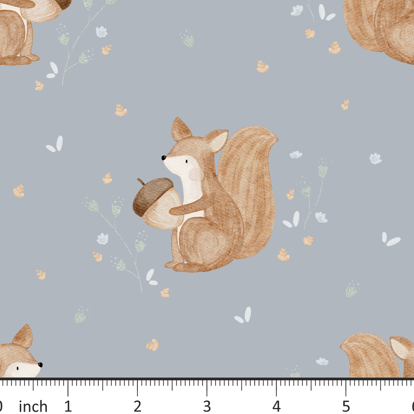 Hej Hanni - Squirrel