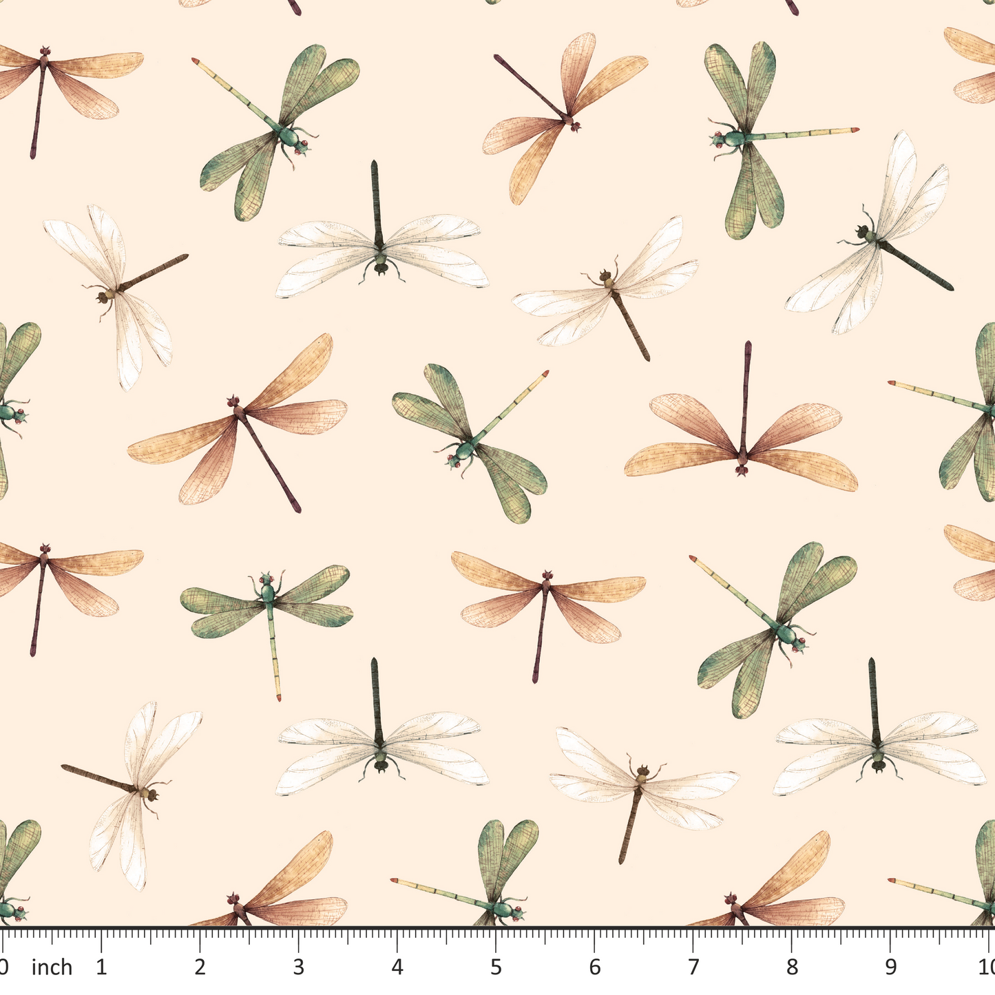 Dragonflies