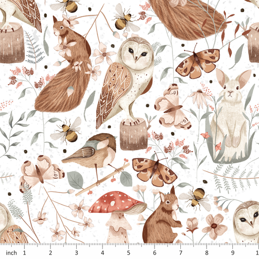 Claire Eddie Art - Iris - On White - Woodland Animals - Owl