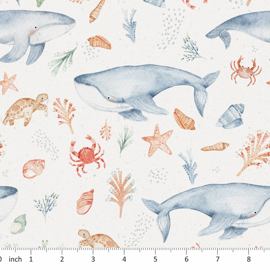 Lumelo and Ginger - Cove - Whale - Crab - Turtle - Ocean - Sealife