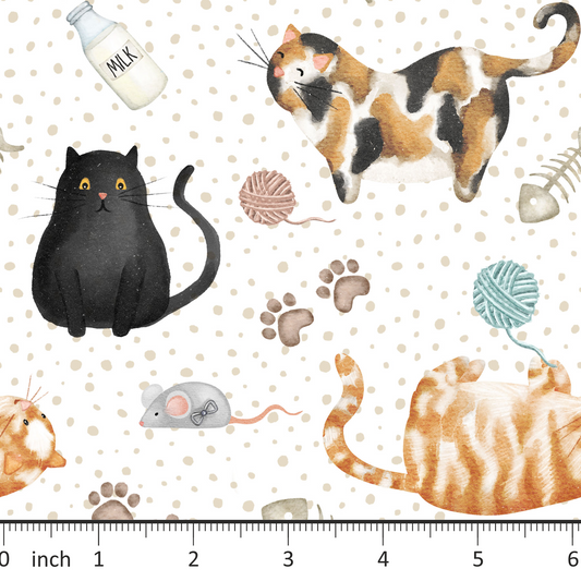 Cats