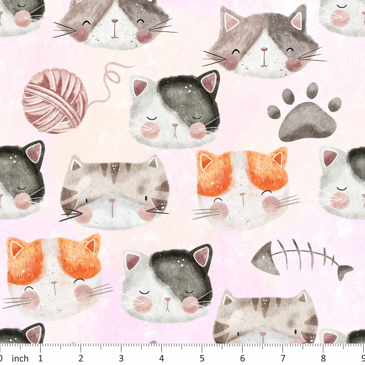 Purr - on Sherbet - Cats - Kittens - Feline