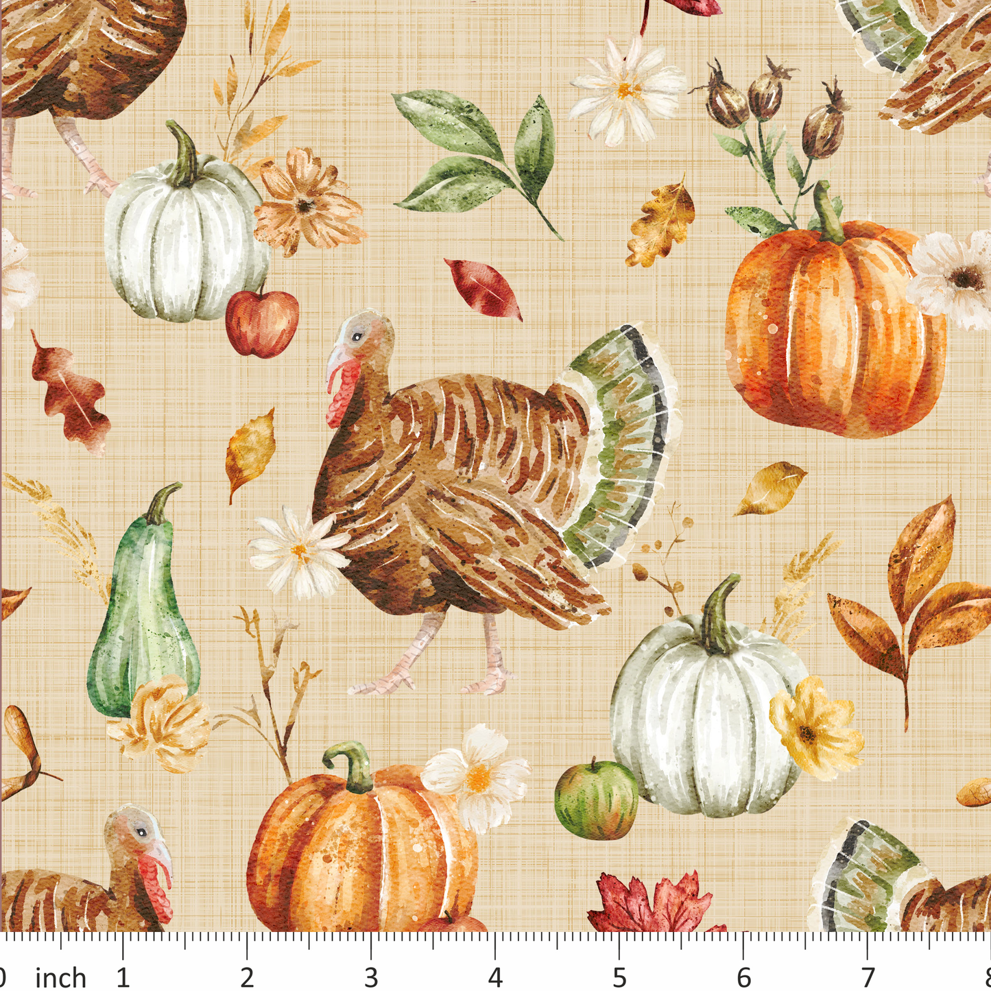 Turkey and Pumpkins - Autumn - Thanksgiving