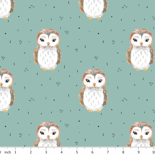 Tatra Cottage - Pastel Owls - Coordinating Designs Available