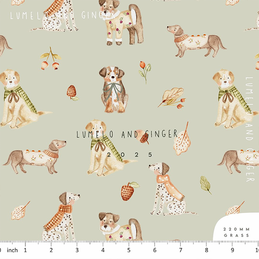 Lumelo and Ginger - Rufus - on Grass - Autumn Dogs