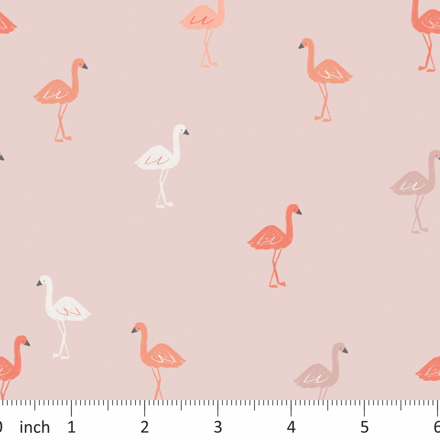 Lumelo and Ginger - Flamingos