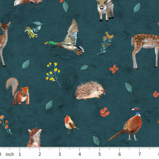 Tatra Cottage - Wildlife - on Teal